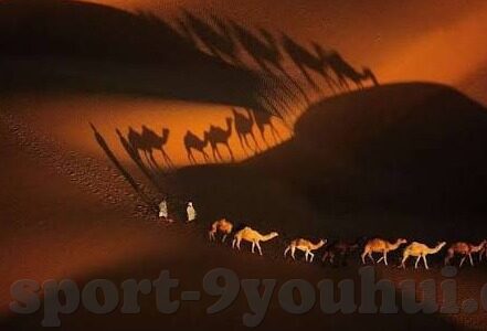 廖彩杏美图-廖彩杏美图，一场视觉与情感的交织之旅