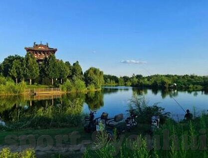 球探比分即时足球比分手-球探比分，即时足球比分手——解锁绿茵场的实时密码